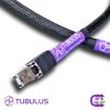 Tubulus Argentus I2S Cable V2 – High End Cable Shop . com